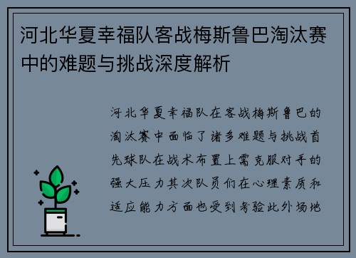 河北华夏幸福队客战梅斯鲁巴淘汰赛中的难题与挑战深度解析