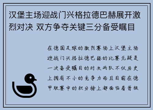 汉堡主场迎战门兴格拉德巴赫展开激烈对决 双方争夺关键三分备受瞩目