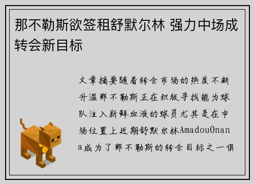 那不勒斯欲签租舒默尔林 强力中场成转会新目标