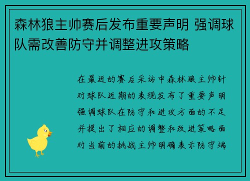 森林狼主帅赛后发布重要声明 强调球队需改善防守并调整进攻策略