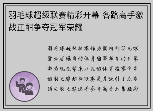 羽毛球超级联赛精彩开幕 各路高手激战正酣争夺冠军荣耀