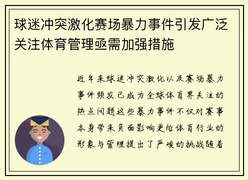 球迷冲突激化赛场暴力事件引发广泛关注体育管理亟需加强措施